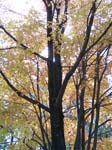 BlueMounds_55