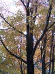 BlueMounds_56