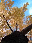 BlueMounds_57
