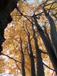 BlueMounds_59