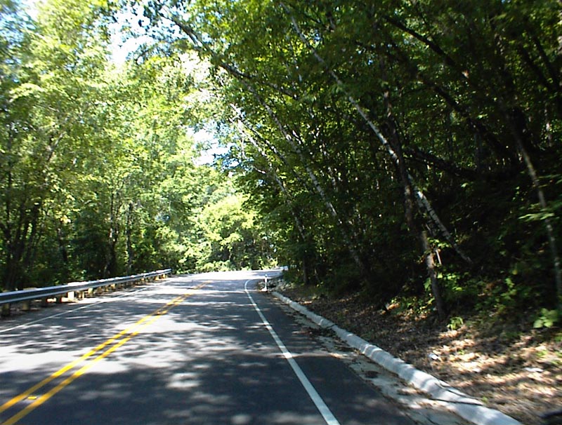 DSC00015