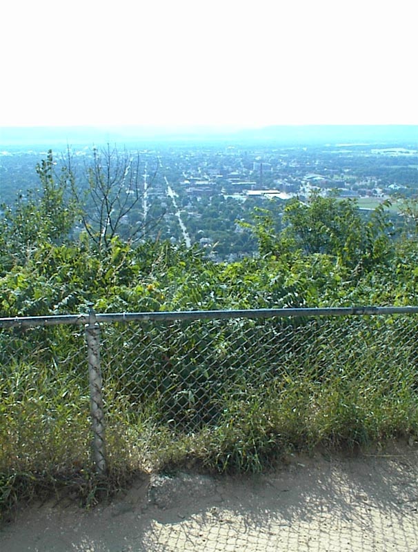DSC00035