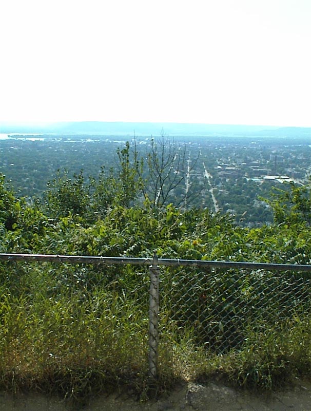 DSC00039