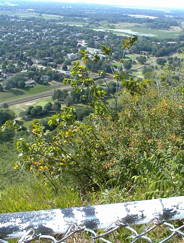 DSC00045
