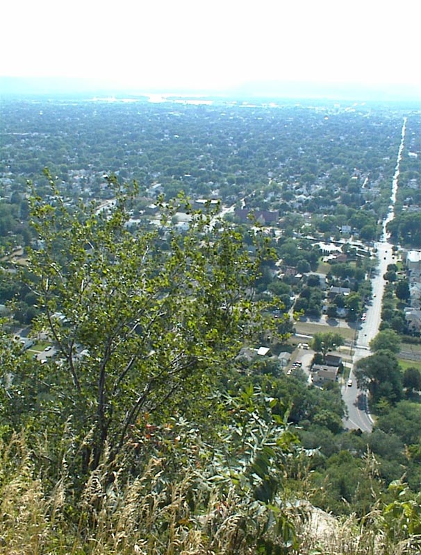 DSC00048