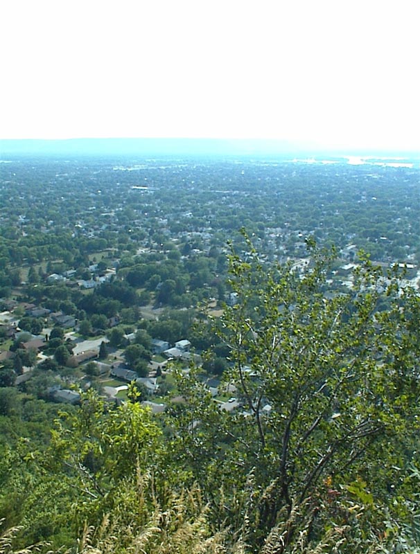 DSC00049