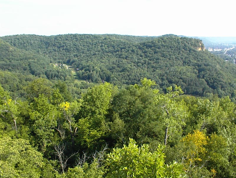 DSC00053