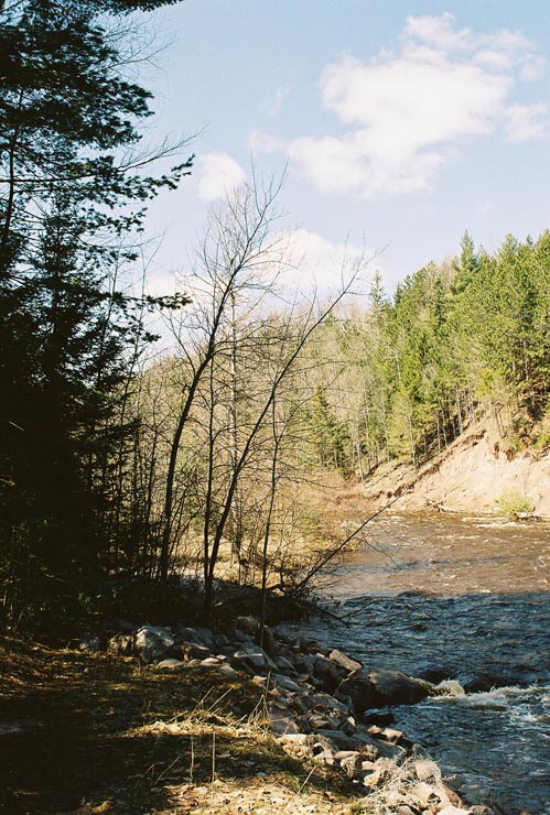 Mellen_06_029