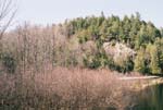 Mellen_06_050