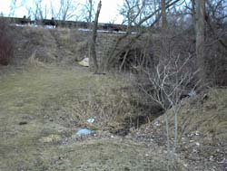 DSC00066